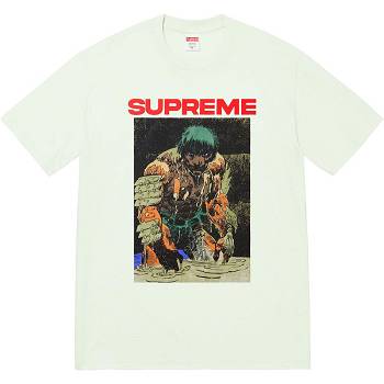 Supreme Ronin Tee Tişört Nane | TR238KI